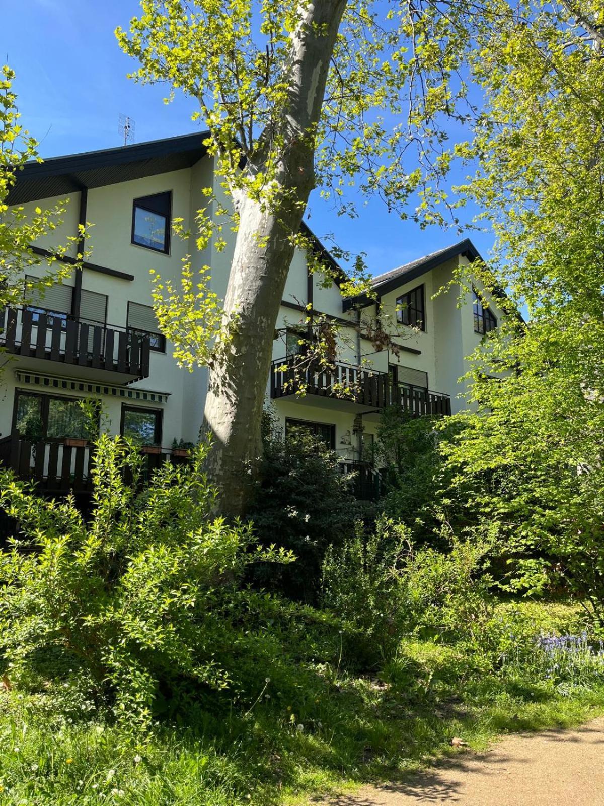Zentrale Ferienwohnung Am Buhlschen Park In 다이데스하임 외부 사진
