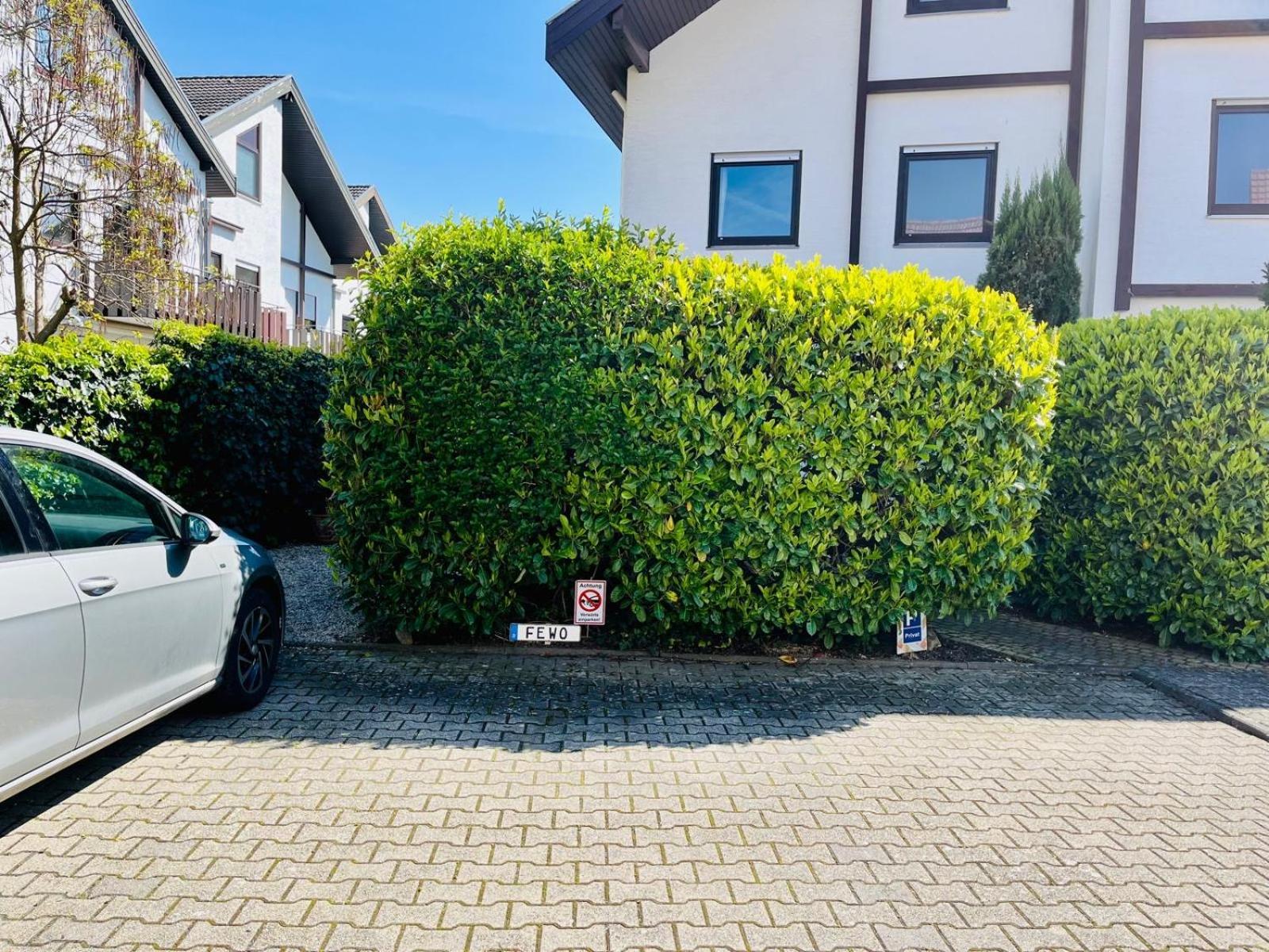 Zentrale Ferienwohnung Am Buhlschen Park In 다이데스하임 외부 사진